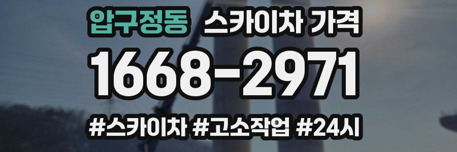 압구정동 스카이차 가격