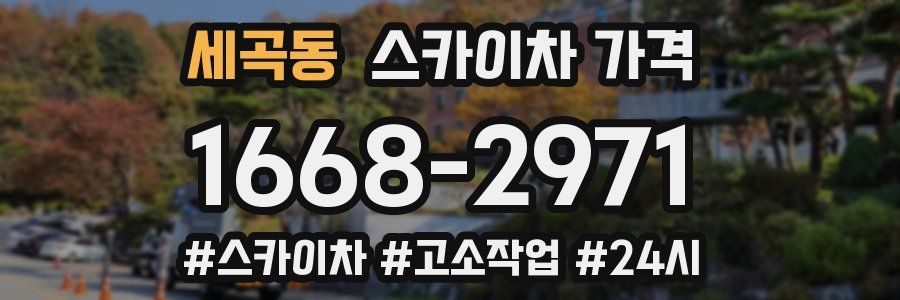 세곡동 스카이차 가격