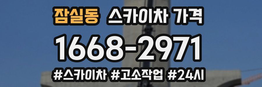 잠실동 스카이차 가격