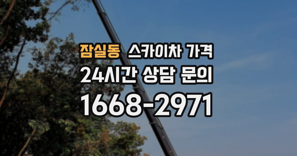 잠실동 스카이차 가격