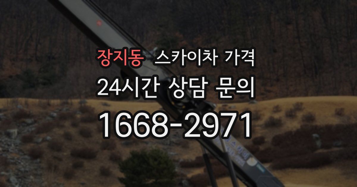 장지동 스카이차 가격