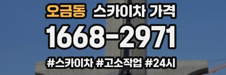 오금동 스카이차 가격