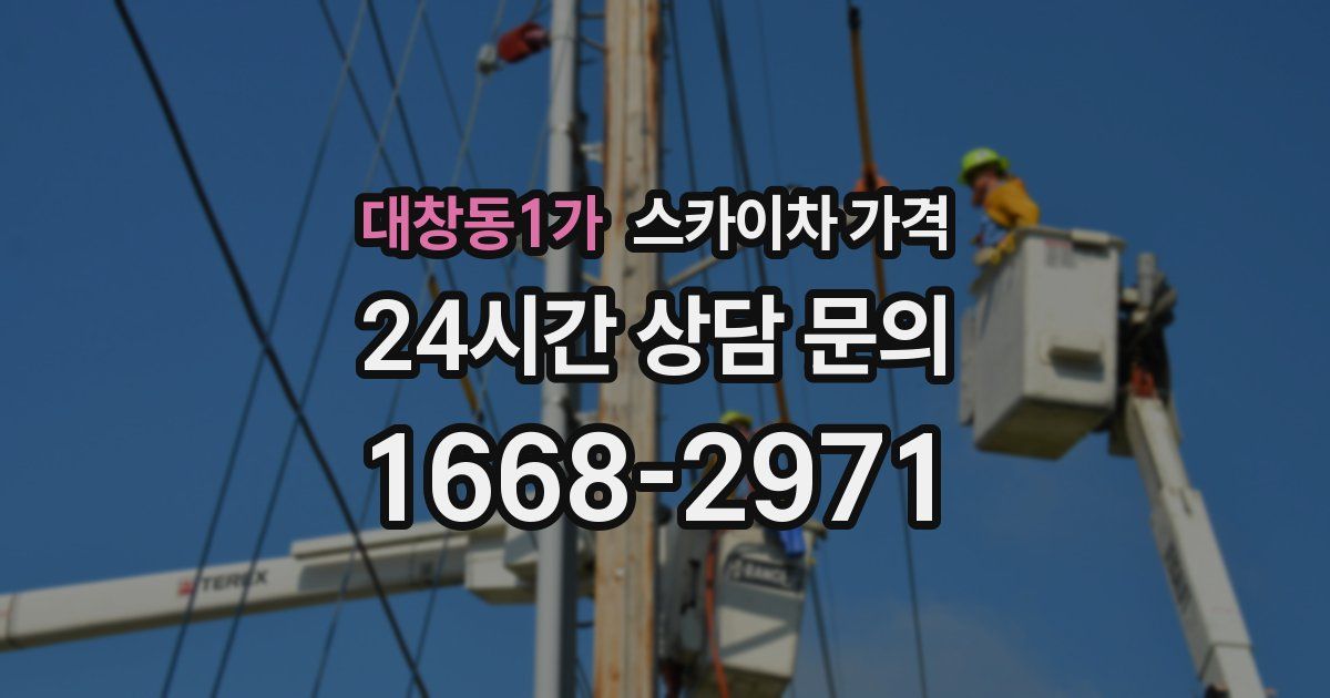 대창동1가 스카이차 가격