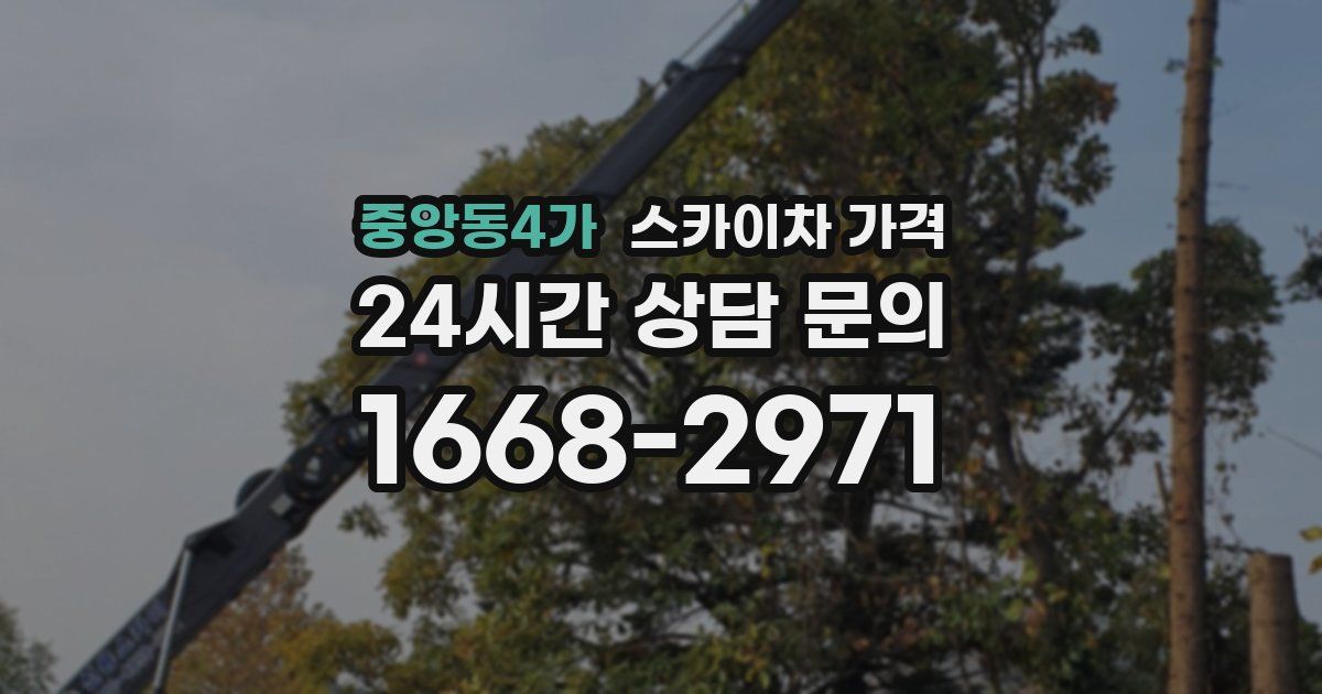 중앙동4가 스카이차 가격