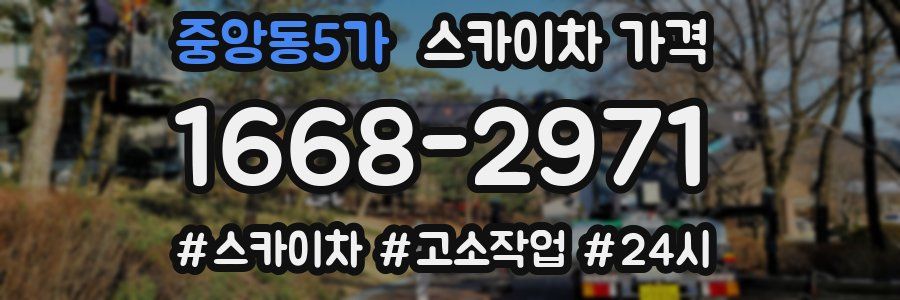 중앙동5가 스카이차 가격