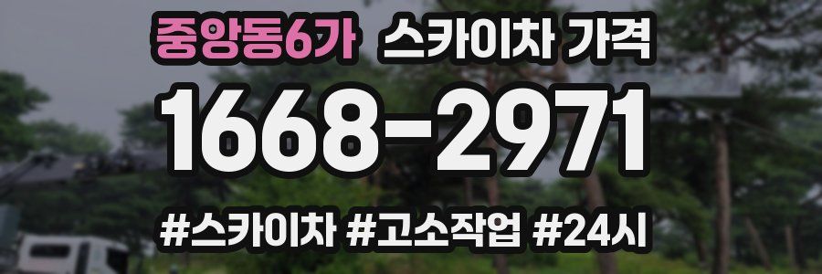 중앙동6가 스카이차 가격