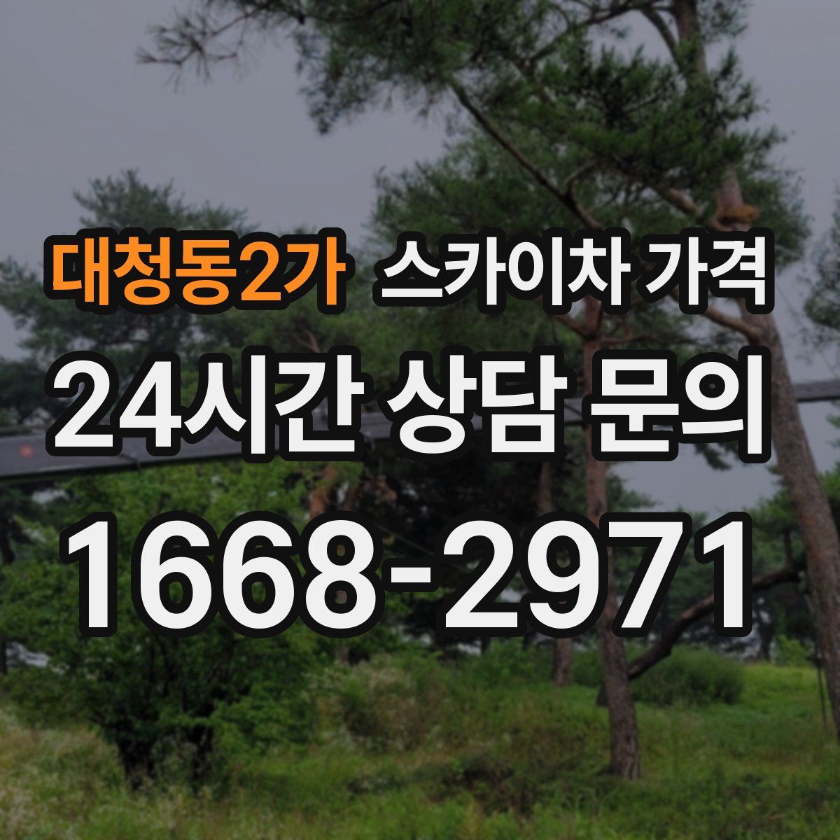 대청동2가 스카이차 가격