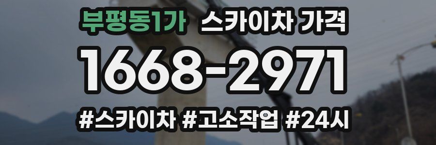 부평동1가 스카이차 가격