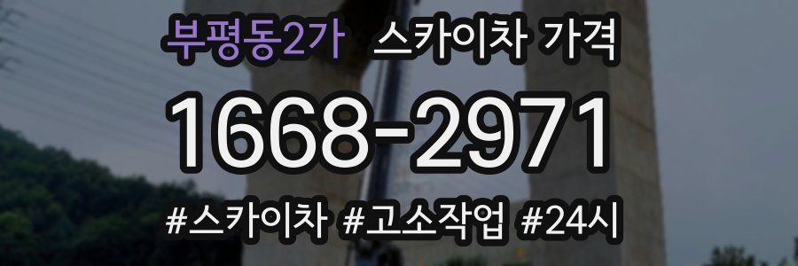 부평동2가 스카이차 가격