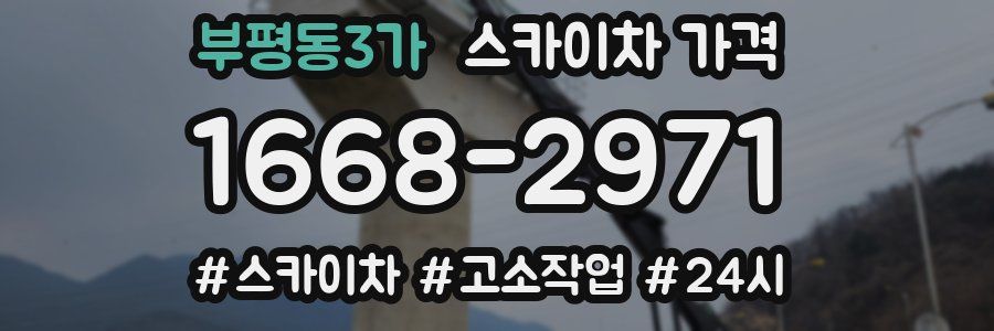 부평동3가 스카이차 가격