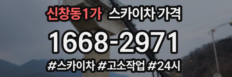 신창동1가 스카이차 가격