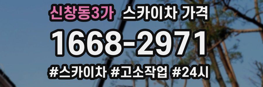 신창동3가 스카이차 가격