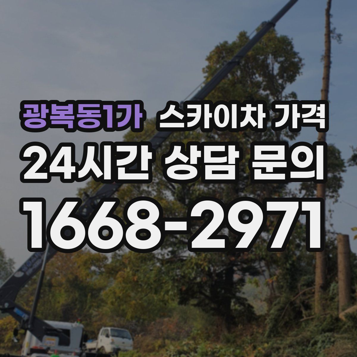 광복동1가 스카이차 가격