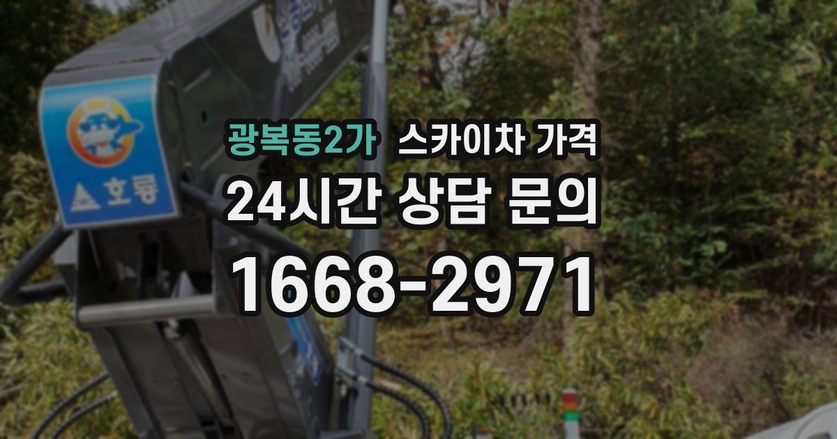 광복동2가 스카이차 가격