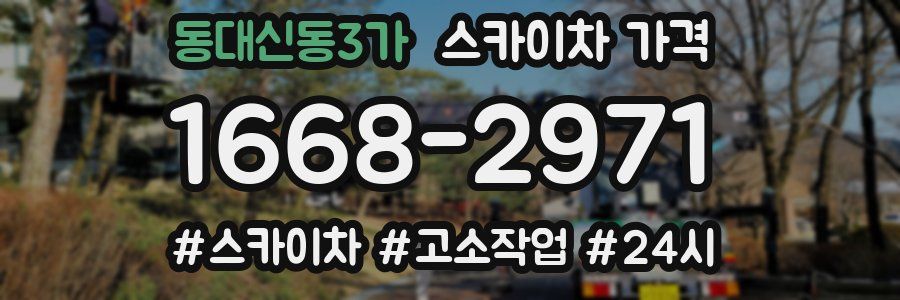 동대신동3가 스카이차 가격