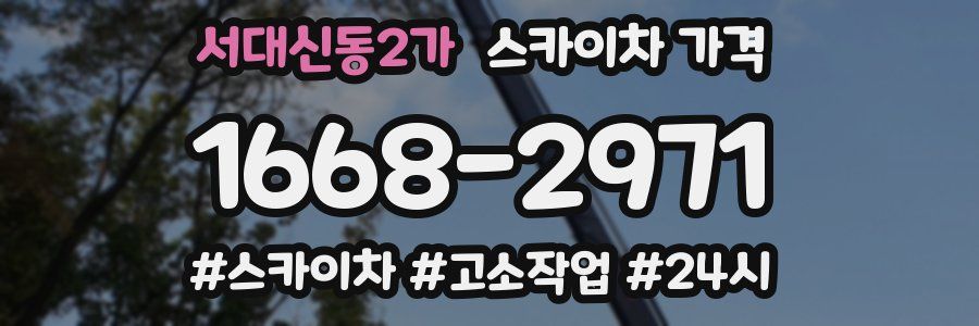 서대신동2가 스카이차 가격