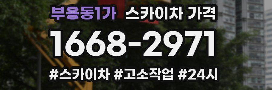 부용동1가 스카이차 가격