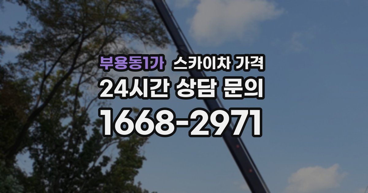 부용동1가 스카이차 가격