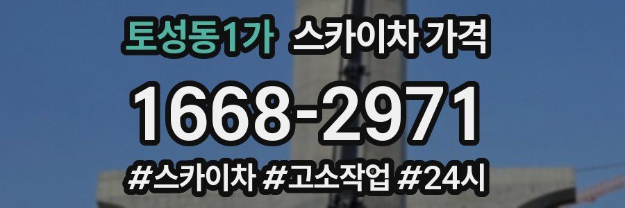 토성동1가 스카이차 가격