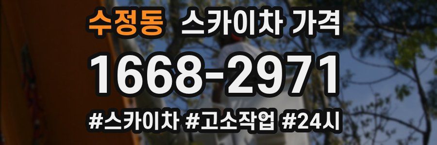 수정동 스카이차 가격