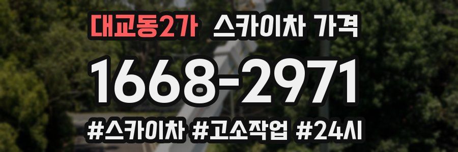 대교동2가 스카이차 가격