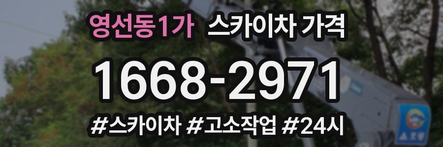 영선동1가 스카이차 가격