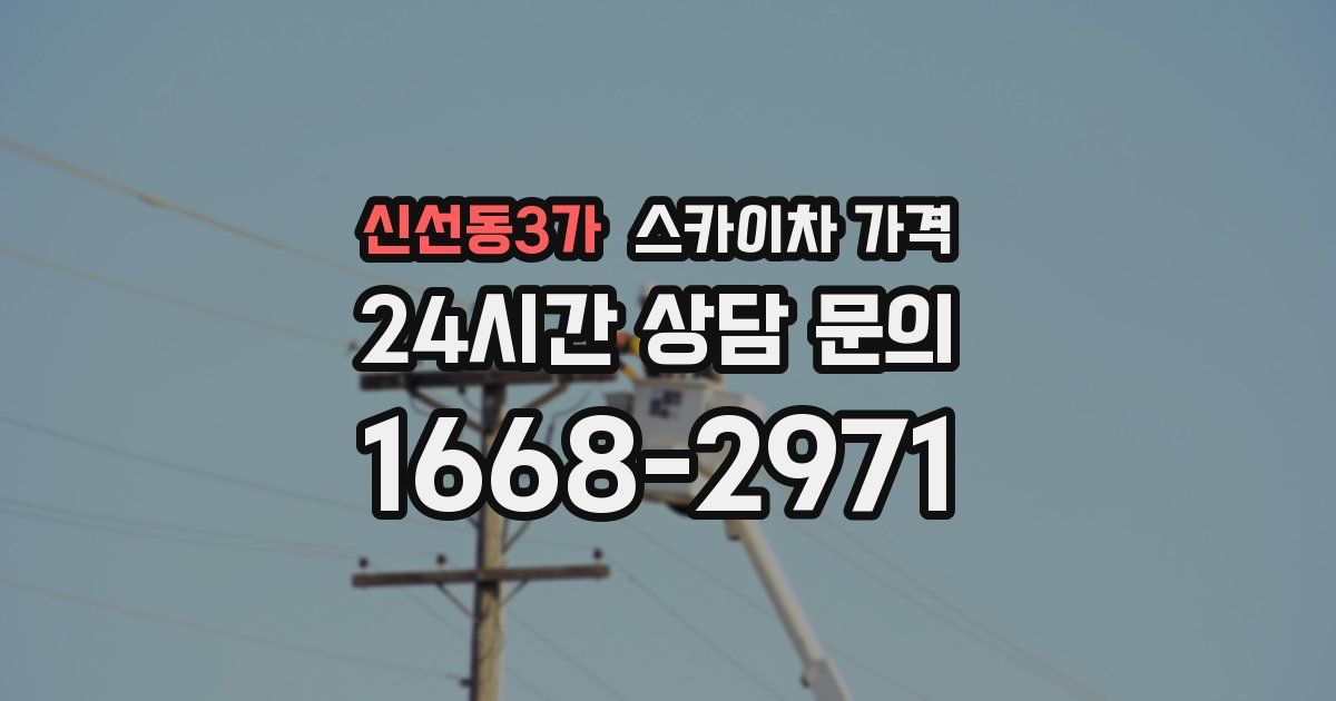 신선동3가 스카이차 가격