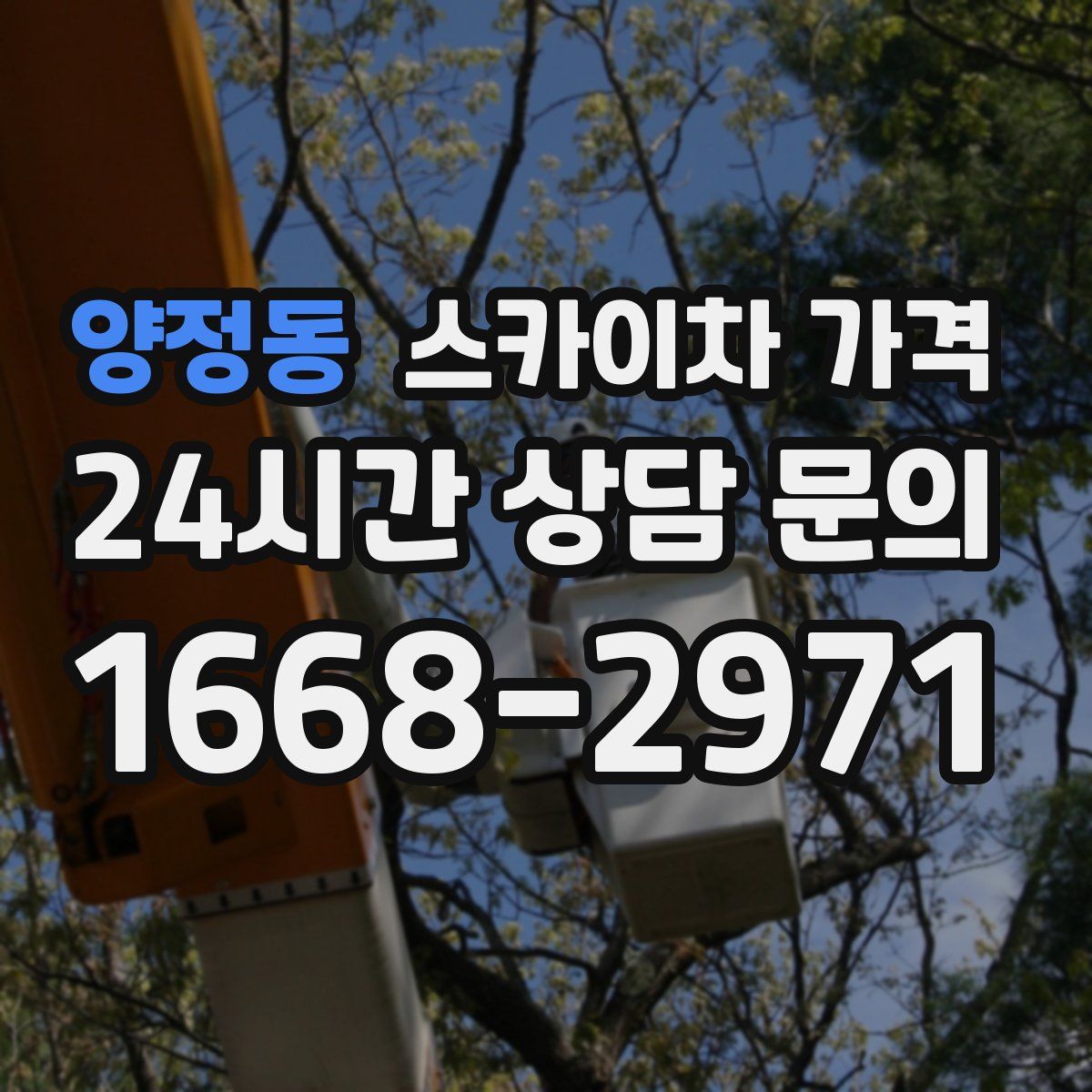 양정동 스카이차 가격