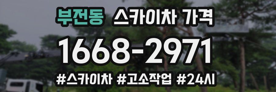 부전동 스카이차 가격