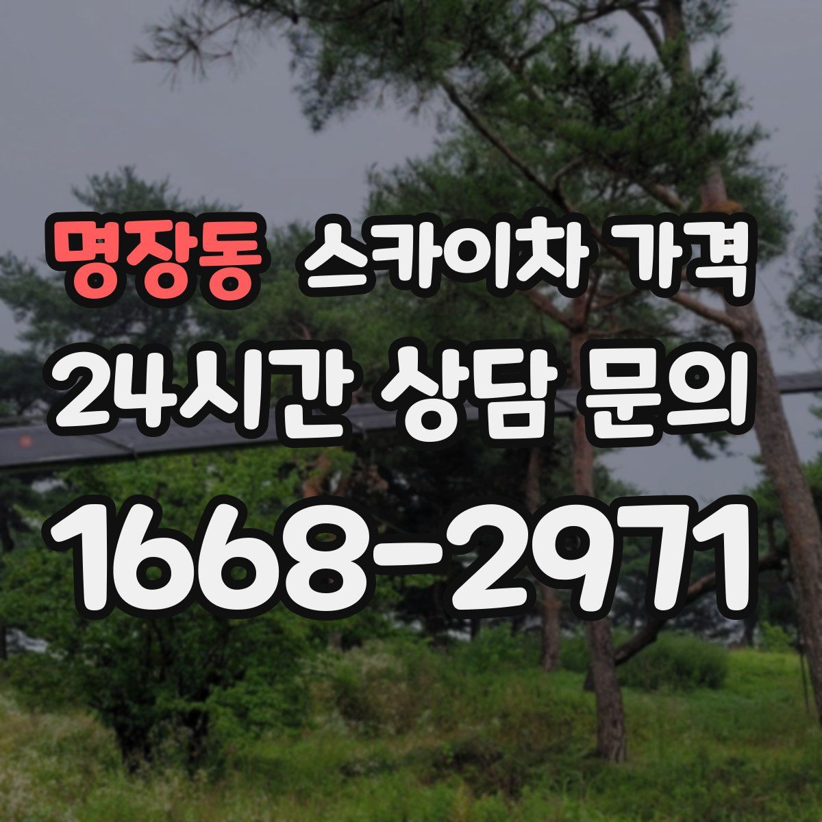 명장동 스카이차 가격