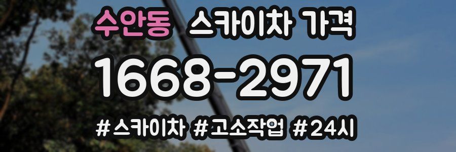 수안동 스카이차 가격