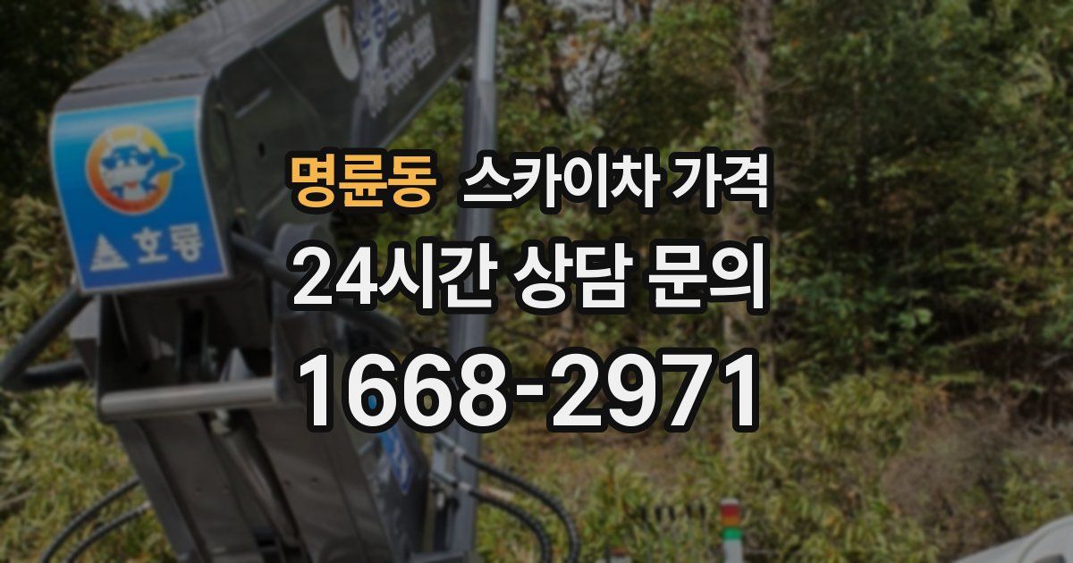 명륜동 스카이차 가격