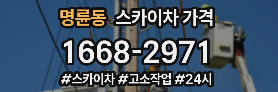 명륜동 스카이차 가격