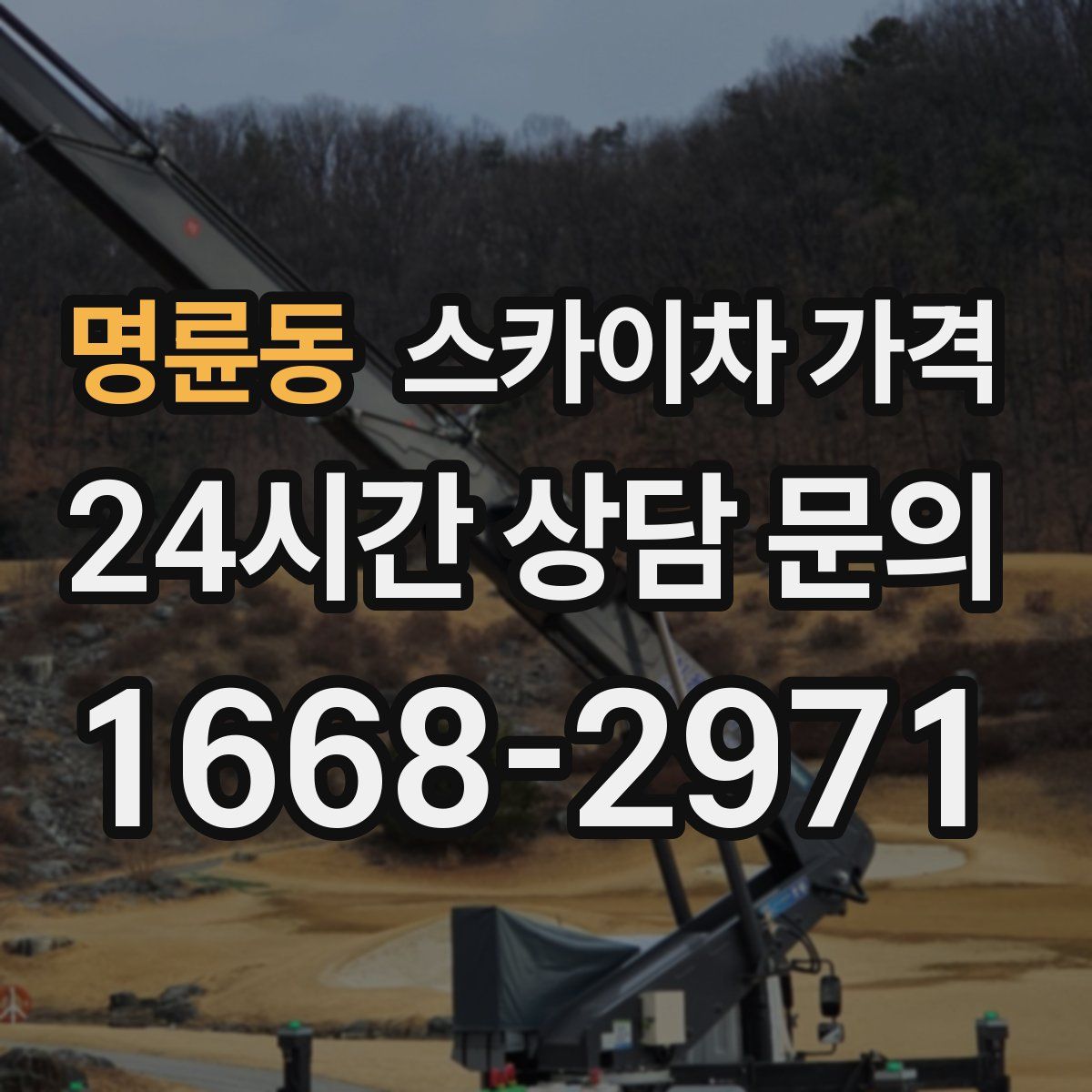 명륜동 스카이차 가격