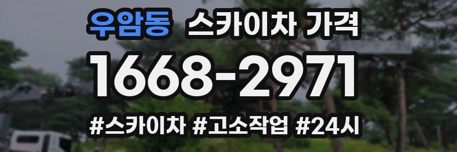 우암동 스카이차 가격