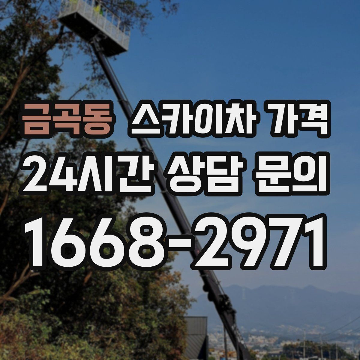 금곡동 스카이차 가격 처음 이용하는 분을 위한 쉬운 가이드