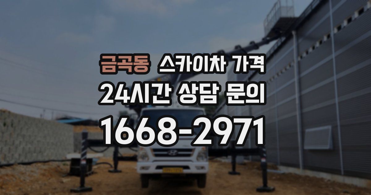 금곡동 스카이차 가격