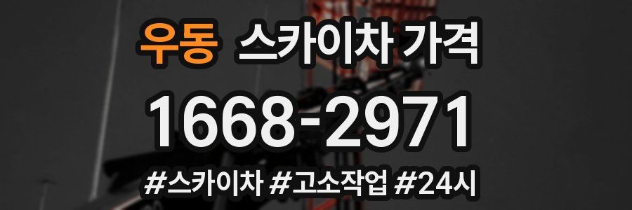 우동 스카이차 가격