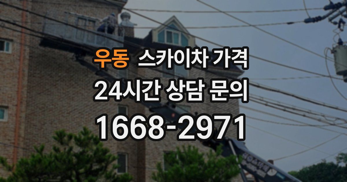 우동 스카이차 가격