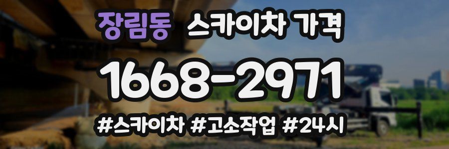 장림동 스카이차 가격