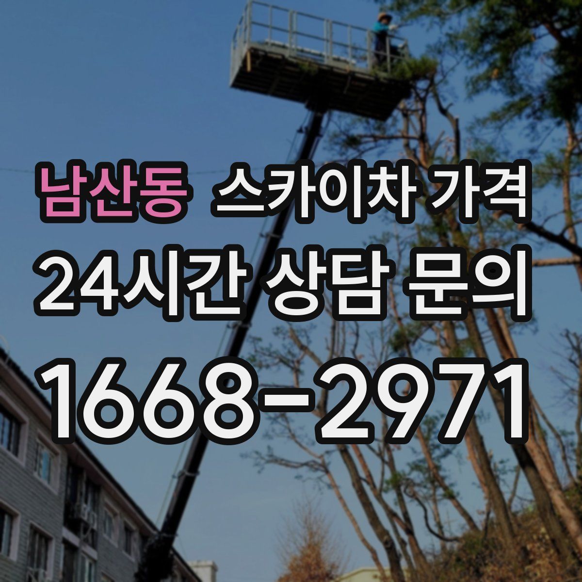 남산동 스카이차 가격