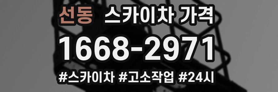 선동 스카이차 가격