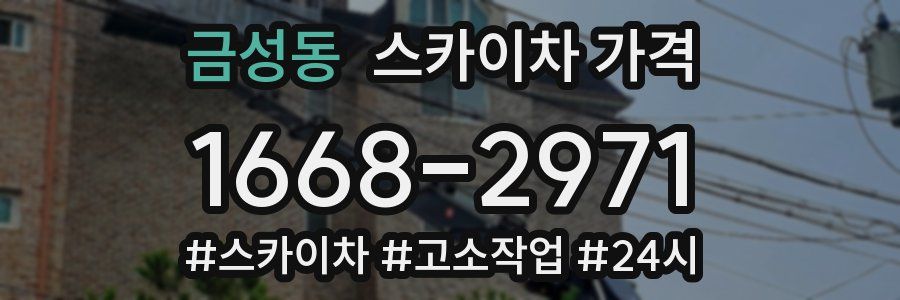 금성동 스카이차 가격