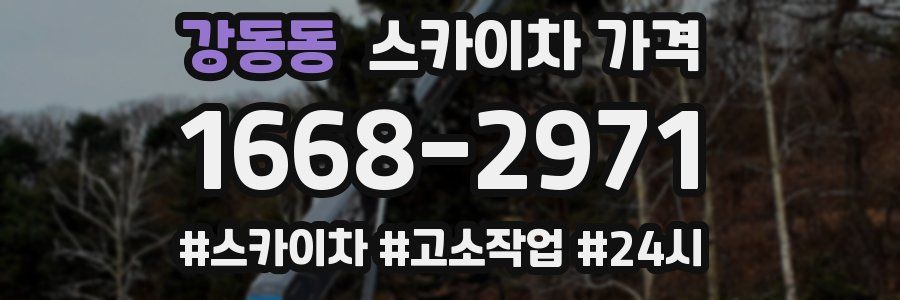 강동동 스카이차 가격