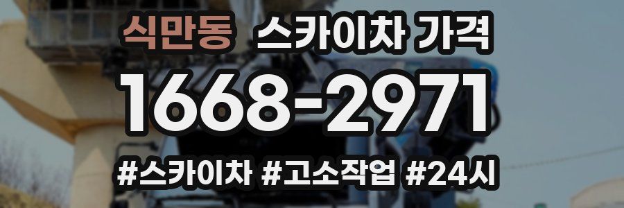 식만동 스카이차 가격