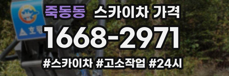 죽동동 스카이차 가격