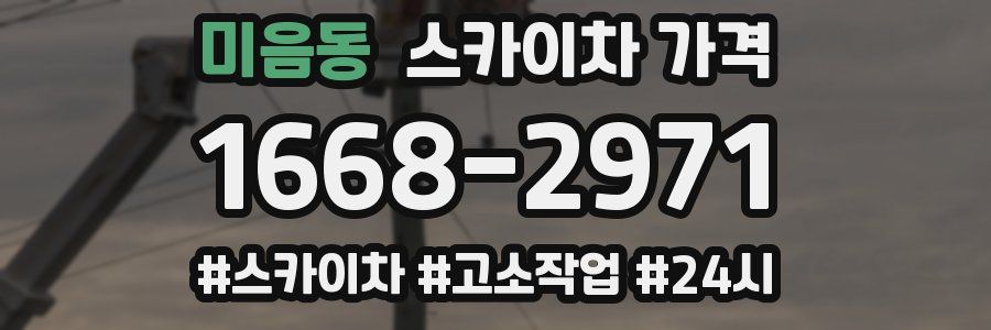 미음동 스카이차 가격