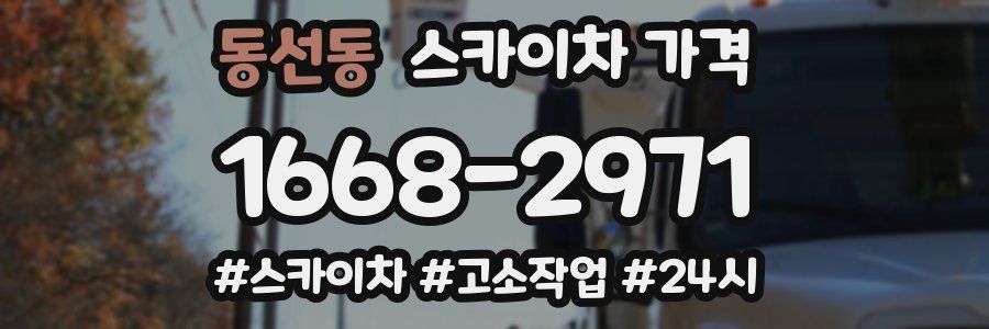 동선동 스카이차 가격