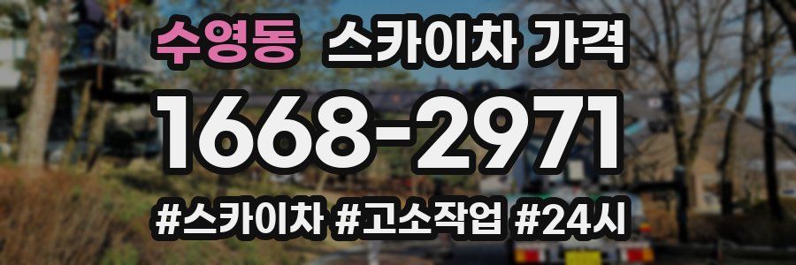 수영동 스카이차 가격