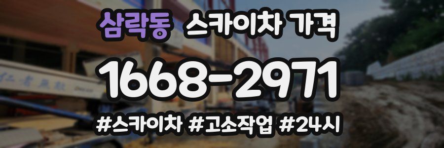 삼락동 스카이차 가격